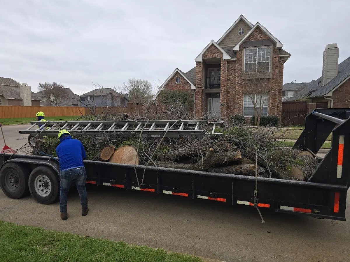 Expert Tree Removal with proper safety equipment in Gans